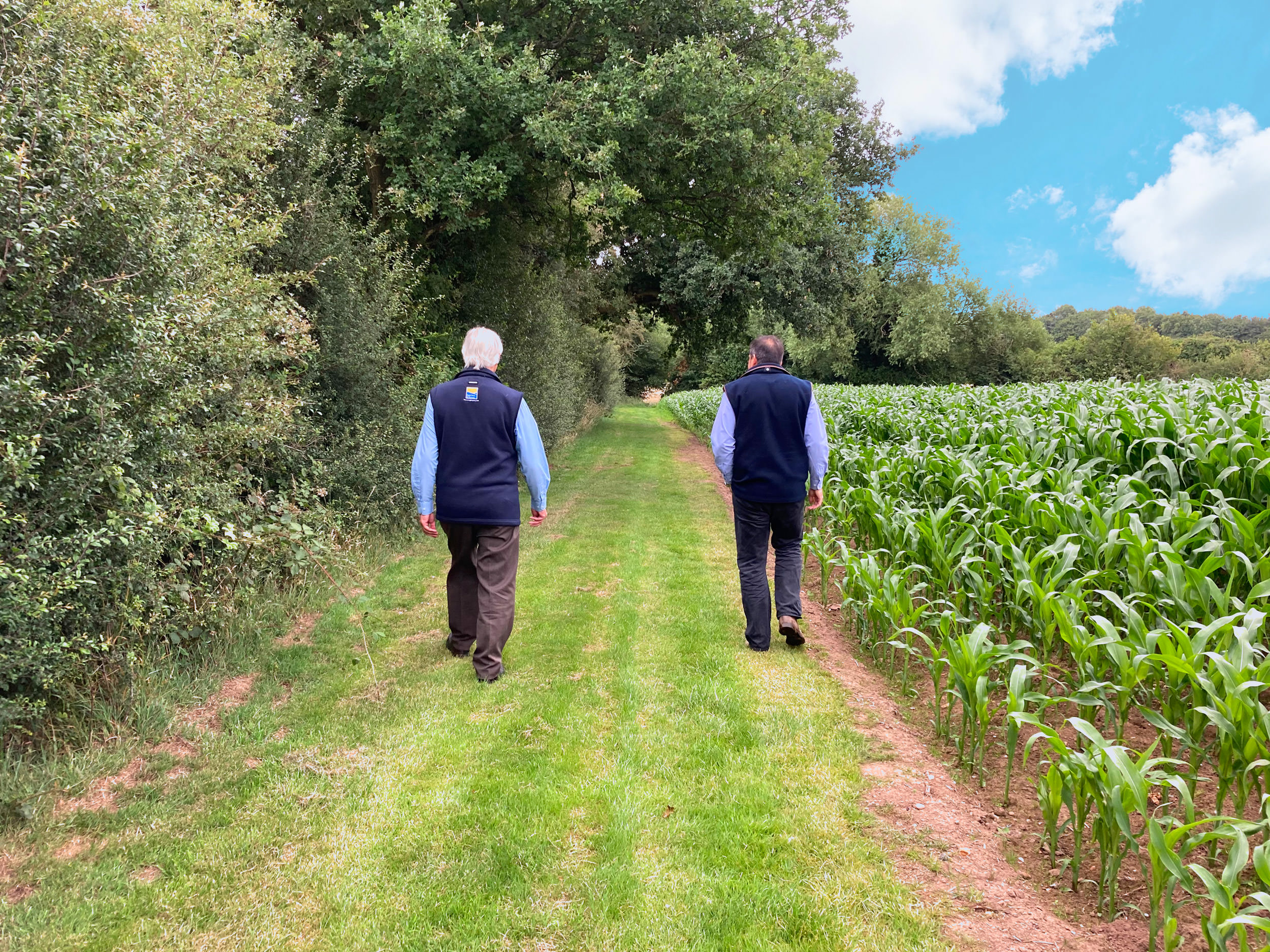 Sustainable Farming Scheme (SFI) - Roger Parry & Partners